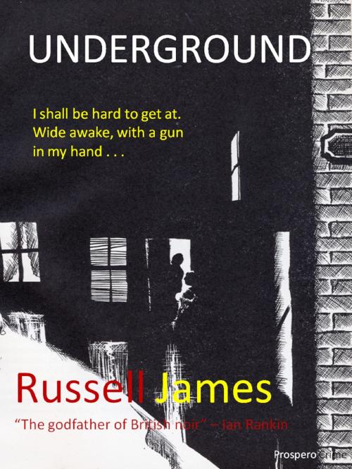 Cover of the book Underground by Russell James, Russell James