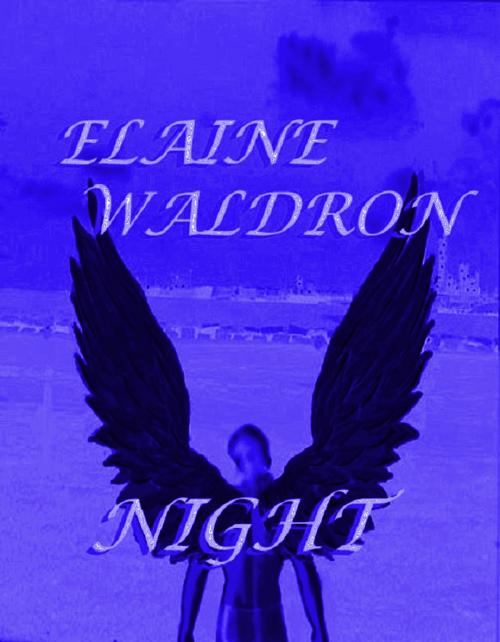 Cover of the book Night by Elaine Waldron, Elaine Waldron