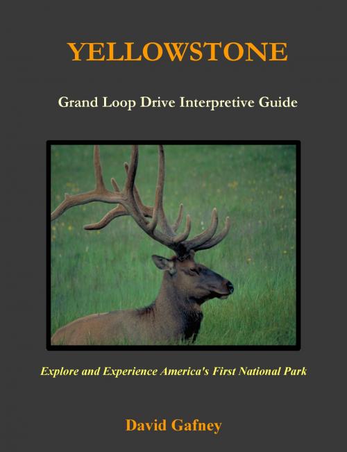 Cover of the book Yellowstone, Grand Loop Drive Interpretive Guide by David Gafney, David Gafney
