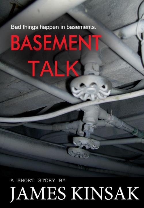 Cover of the book Basement Talk by James Kinsak, Fiero Publishing