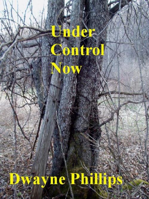 Cover of the book Under Control Now by Dwayne Phillips, Dwayne Phillips