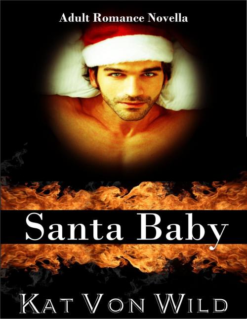 Cover of the book Santa Baby by Kat Von Wild, Kat Von Wild