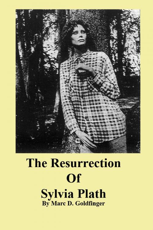 Cover of the book The Resurrection of Sylvia Plath by Marc Goldfinger, Marc Goldfinger