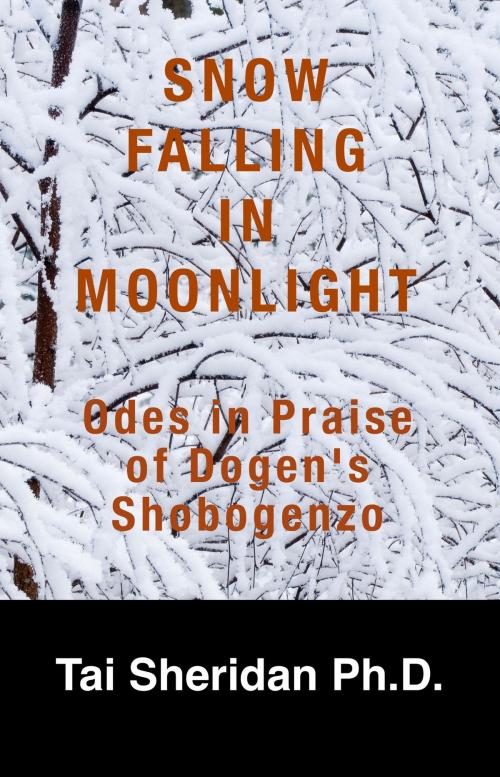 Cover of the book Snow Falling in Moonlight: Odes in Praise of Dogen's Shobogenzo by Tai Sheridan, Ph.D., Tai Sheridan, Ph.D.
