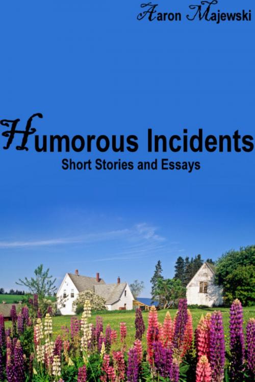 Cover of the book Humorous Incidents: Short Stories and Essays by Aaron Majewski, Aaron Majewski