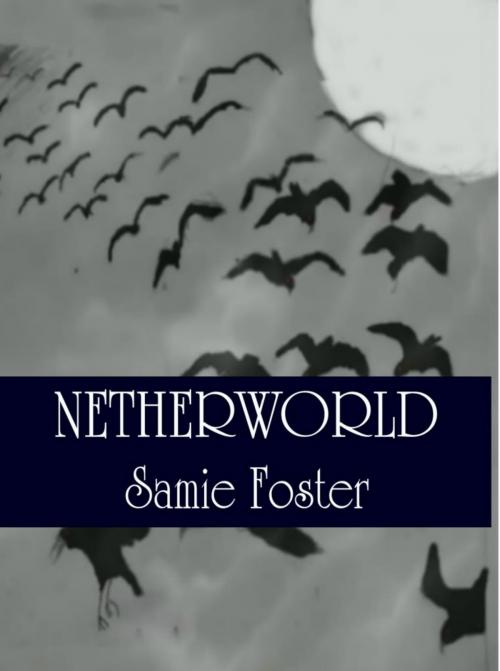 Cover of the book Netherworld by Samie Foster, Samie Foster