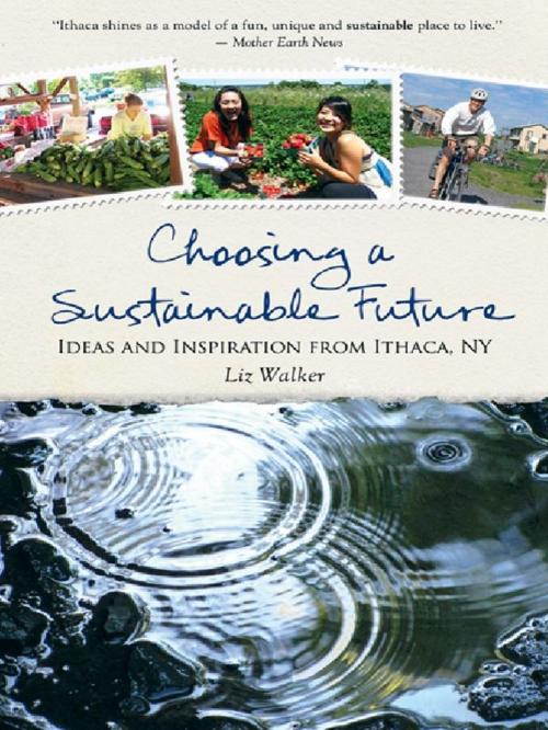 Cover of the book Choosing A Sustainable Future by Liz Walker, New Society Publishers