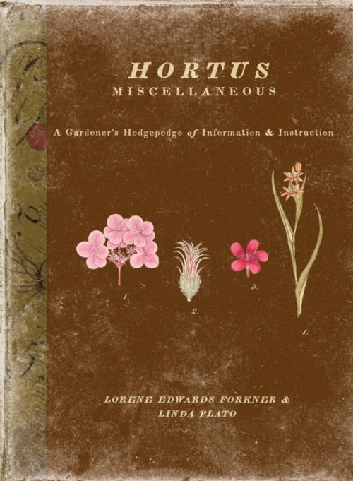 Cover of the book Hortus Miscellaneous by Lorene Forkner, Linda Plato, Sasquatch Books