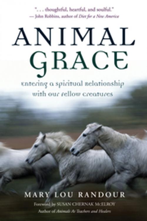 Cover of the book Animal Grace by Mary Lou Randour, New World Library