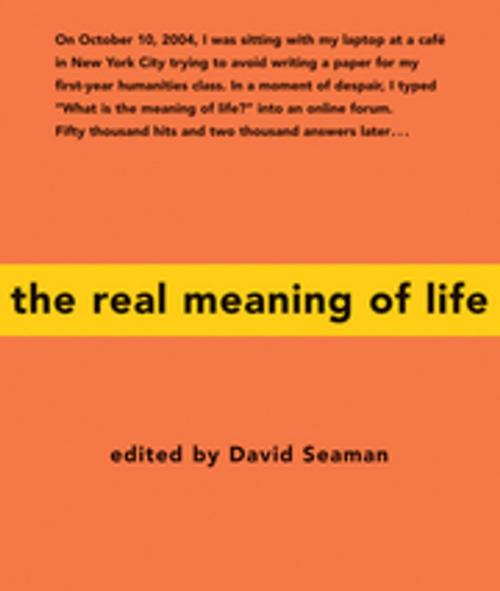 Cover of the book The Real Meaning of Life by David Seaman, New World Library