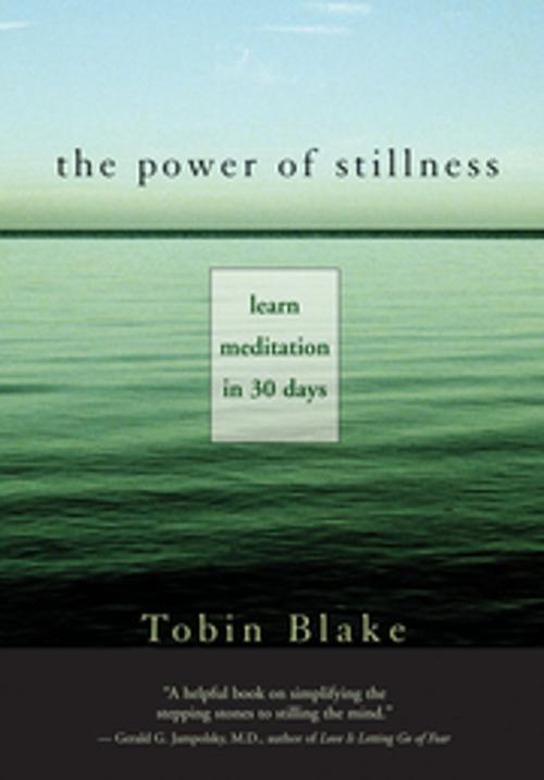 Cover of the book The Power of Stillness by Tobin Blake, New World Library