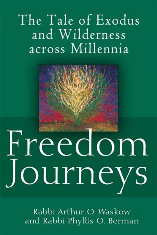 Cover of the book Freedom Journeys: The Tale of Exodus and Wilderness across Millennia by Rabbi Arthur O. Waskow, Rabbi Phyllis O. Berman, Jewish Lights Publishing