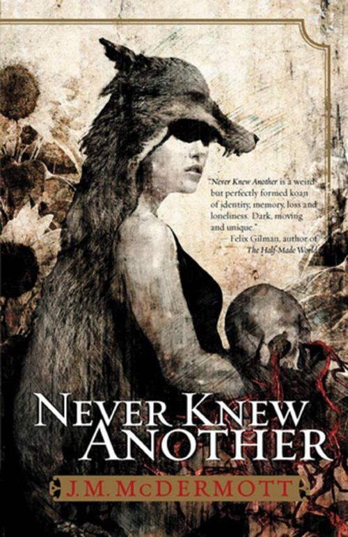 Cover of the book Never Knew Another by J. M. McDermott, Night Shade Books