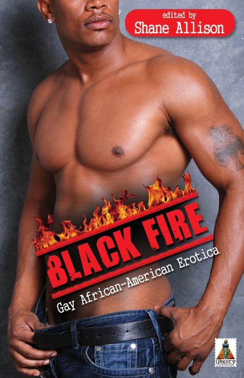 Cover of the book Black Fire: Gay African-American Erotica by , Bold Strokes Books