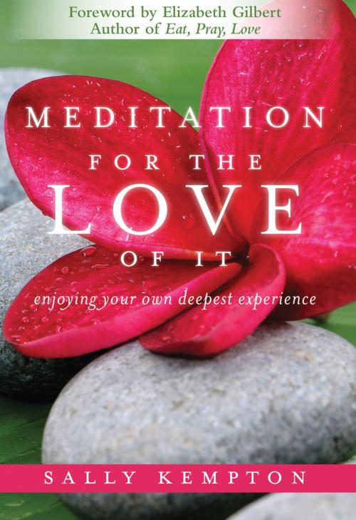 Cover of the book Meditation for the Love of It by Kempton Sally, Sounds True