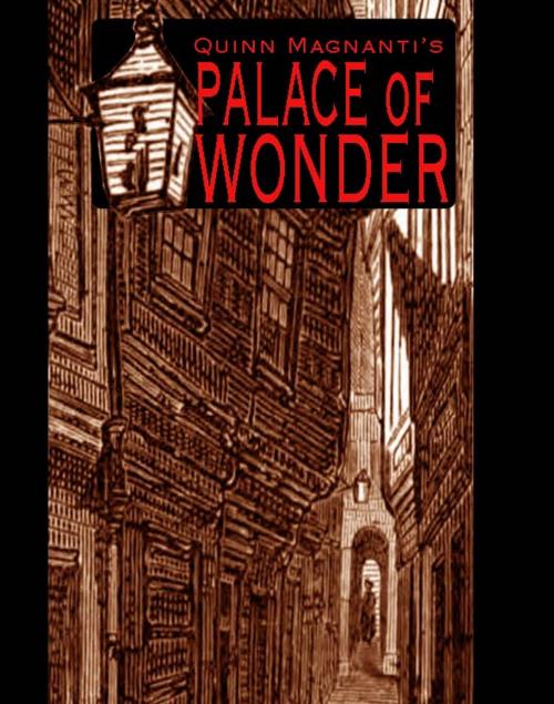 Cover of the book The Palace of Wonder by Quinn Magnanti, Quinn Magnanti
