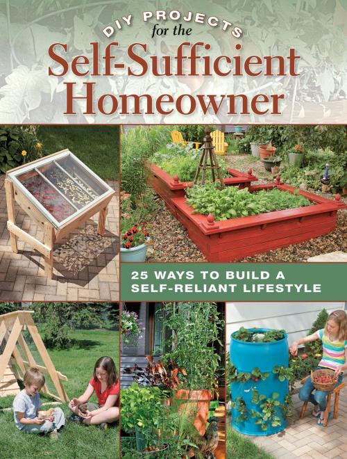 Cover of the book DIY Projects for the Self-Sufficient Homeowner: 25 Ways to Build a Self-Reliant Lifestyle by Betsy Matheson, Creative Publishing international