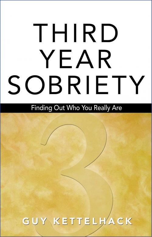 Cover of the book Third Year Sobriety by Guy Kettelhack, Hazelden Publishing