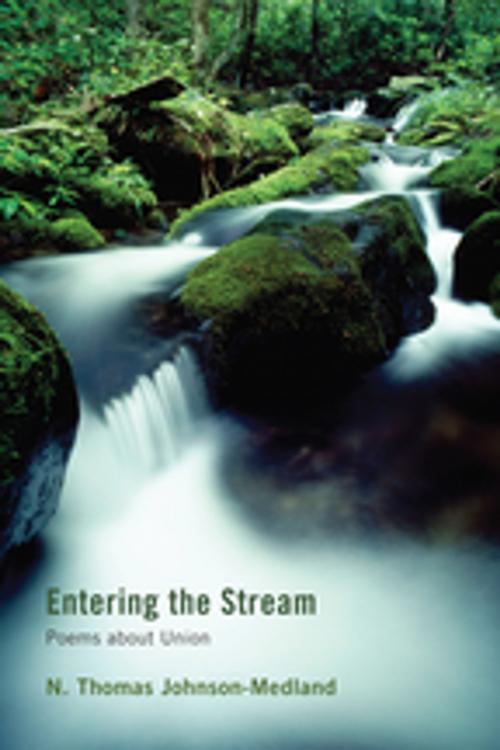 Cover of the book Entering the Stream by N. Thomas Johnson-Medland, Wipf and Stock Publishers