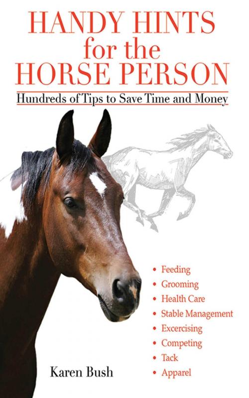Cover of the book Handy Hints for the Horse Person by Karen Bush, Skyhorse