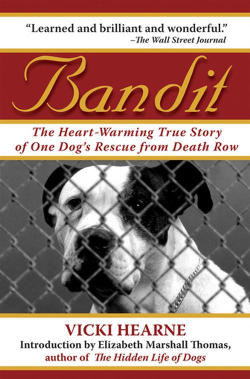 Cover of the book Bandit by Vicki Hearne, Skyhorse Publishing
