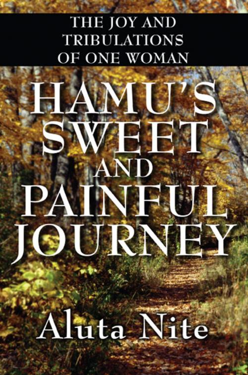 Cover of the book Hamu's Sweet and Painful Journey by Aluta Nite, PublishAmerica