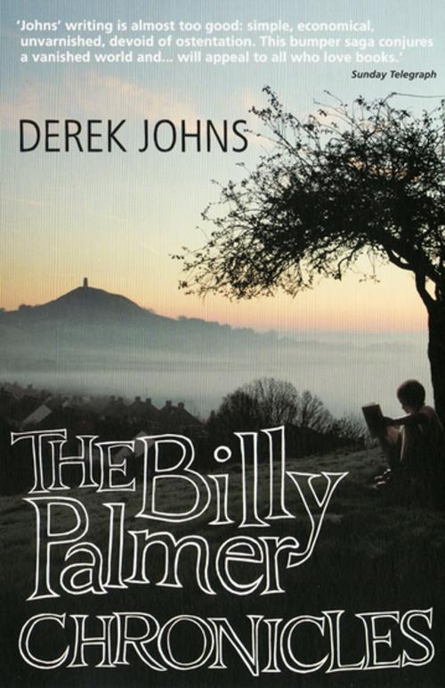 Cover of the book The Billy Palmer Chronicles by Derek Johns, Granta Publications