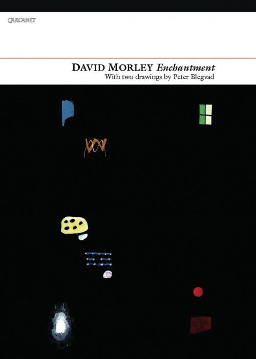 Cover of the book Enchantment by David Morley, Carcanet Press Ltd.