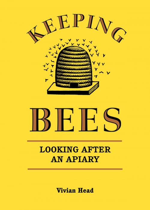 Cover of the book Keeping Bees by Vivian Head, Arcturus Publishing