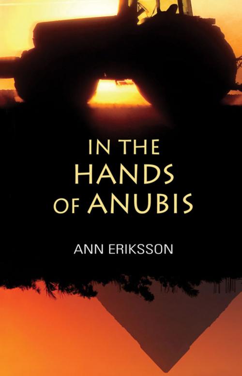 Cover of the book In the Hands of Anubis by Ann Eriksson, Brindle & Glass
