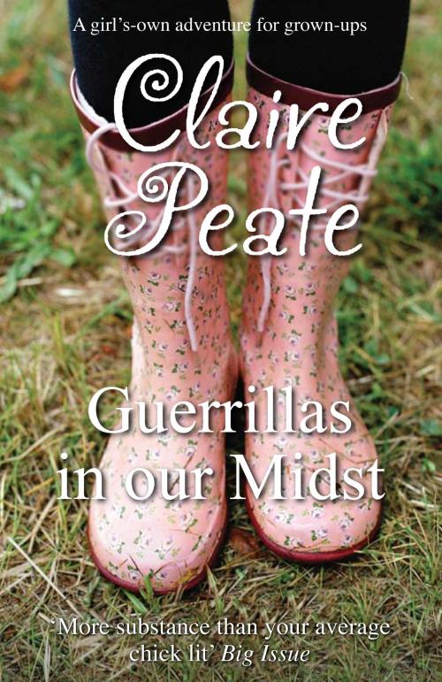 Cover of the book Guerillas In Our Midst by Claire Peate, Honno Press