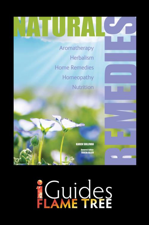 Cover of the book Natural Remedies by Karen Sullivan, Flame Tree iGuides, Tricia Allen, Flame Tree Publishing