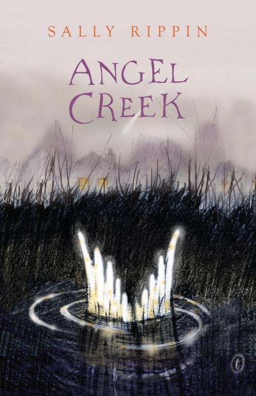 Cover of the book Angel Creek by Sally Rippin, The Text Publishing Company