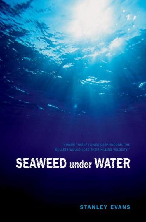 Cover of the book Seaweed Under Water by Stanley Evans, Touchwood Editions