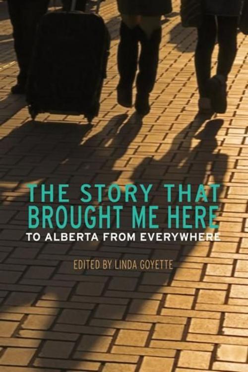 Cover of the book The Story That Brought Me Here by , Brindle & Glass
