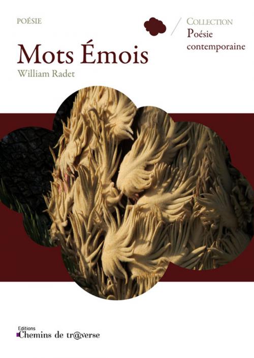 Cover of the book Mots Emois by William Radet, Chemins de tr@verse