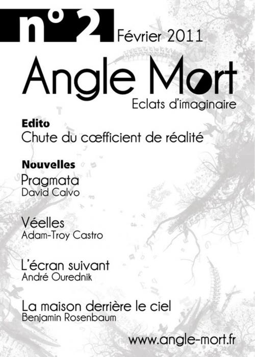 Cover of the book Angle Mort numéro 2 by Benjamin Rosenbaum, André Ourednik, Adam-Troy Castro, David Calvo, Angle Mort