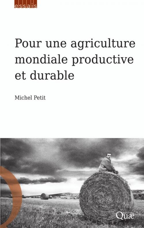 Cover of the book Pour une agriculture mondiale productive et durable by Michel Petit, Quae