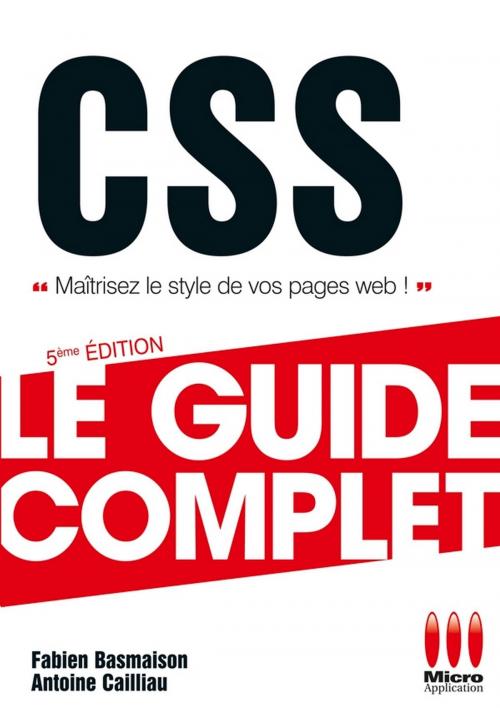 Cover of the book Css by Antoine Cailliau, Fabien Basmaison, MA Editions