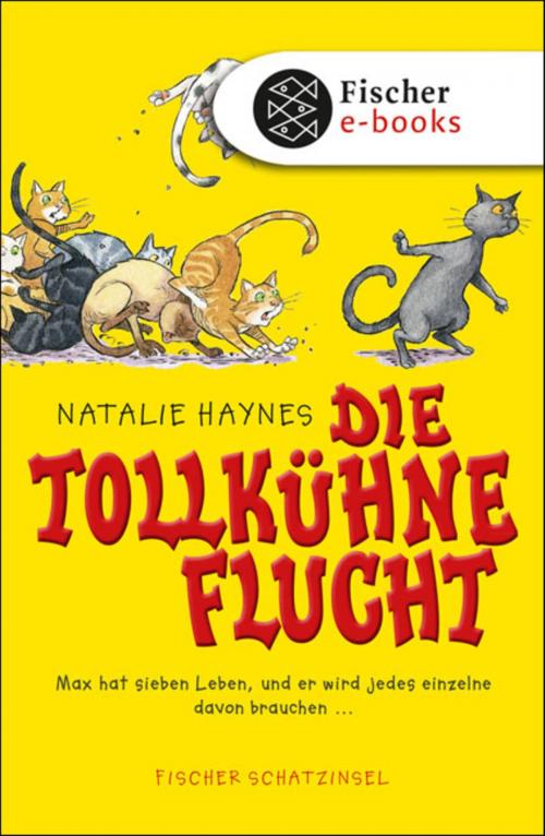 Cover of the book Die tollkühne Flucht by Natalie Haynes, SFV: FISCHER Kinder- und Jugendbuch E-Books