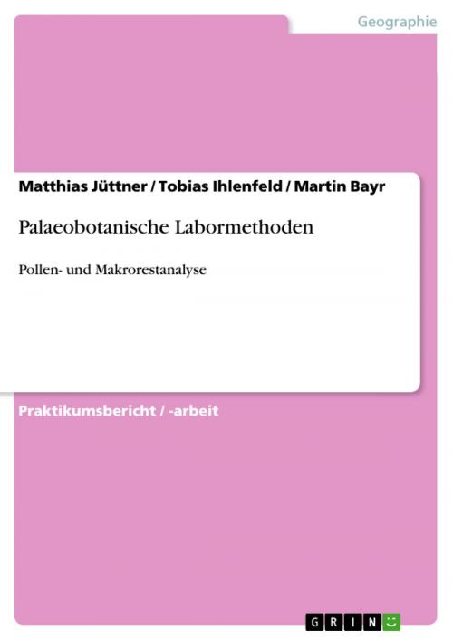Cover of the book Palaeobotanische Labormethoden by Matthias Jüttner, Tobias Ihlenfeld, Martin Bayr, GRIN Verlag