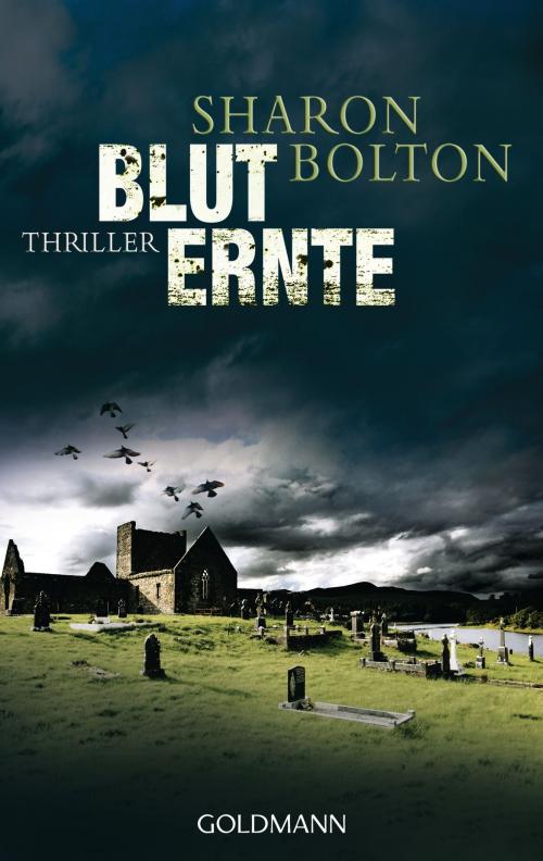 Cover of the book Bluternte by Sharon Bolton, Manhattan