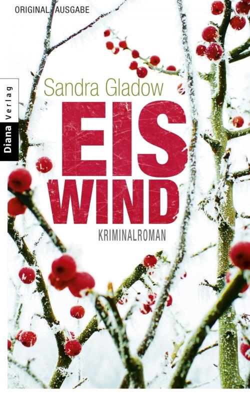 Cover of the book Eiswind by Sandra Gladow, Goldmann Verlag