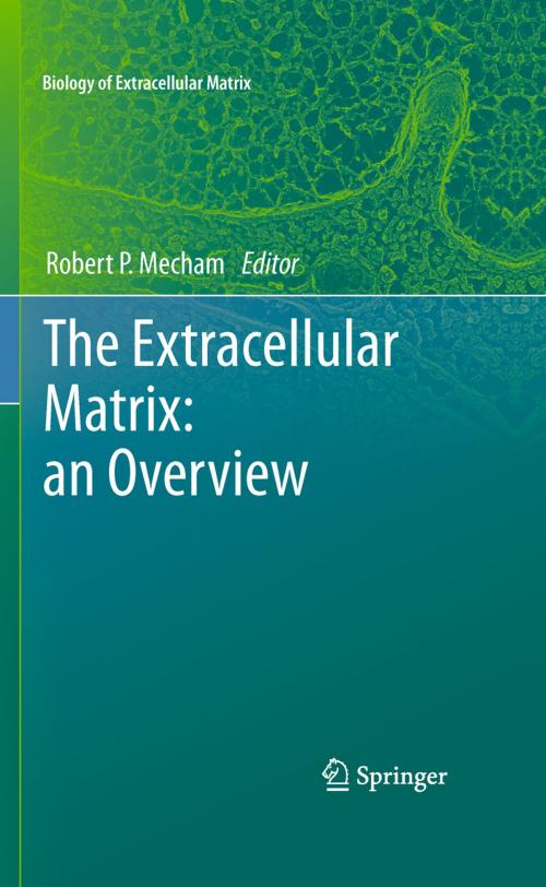 Cover of the book The Extracellular Matrix: an Overview by , Springer Berlin Heidelberg
