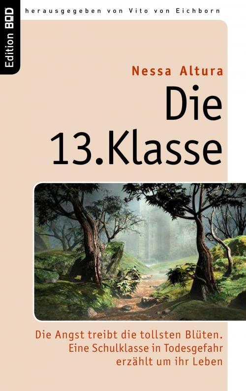 Cover of the book Die 13. Klasse by Nessa Altura, Books on Demand