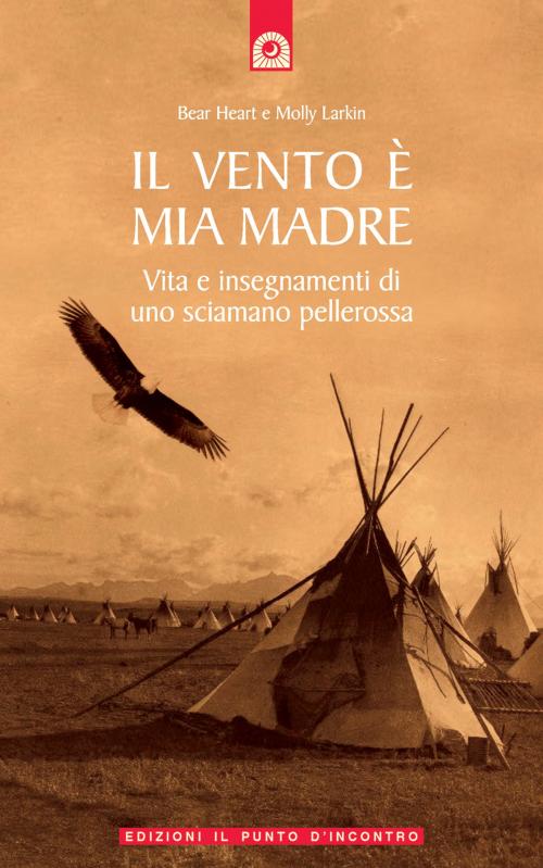 Cover of the book Il vento è mia madre by Bear Heart, Molly Larkin, Edizioni il Punto d'Incontro