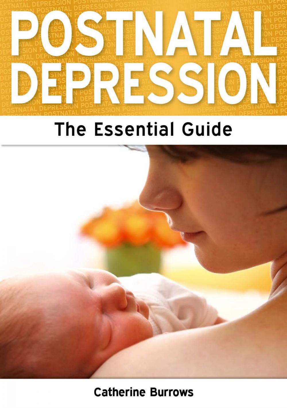 Big bigCover of Postnatal Depression: The Essential Guide