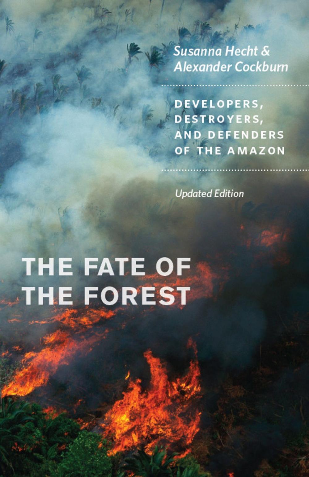 Big bigCover of The Fate of the Forest