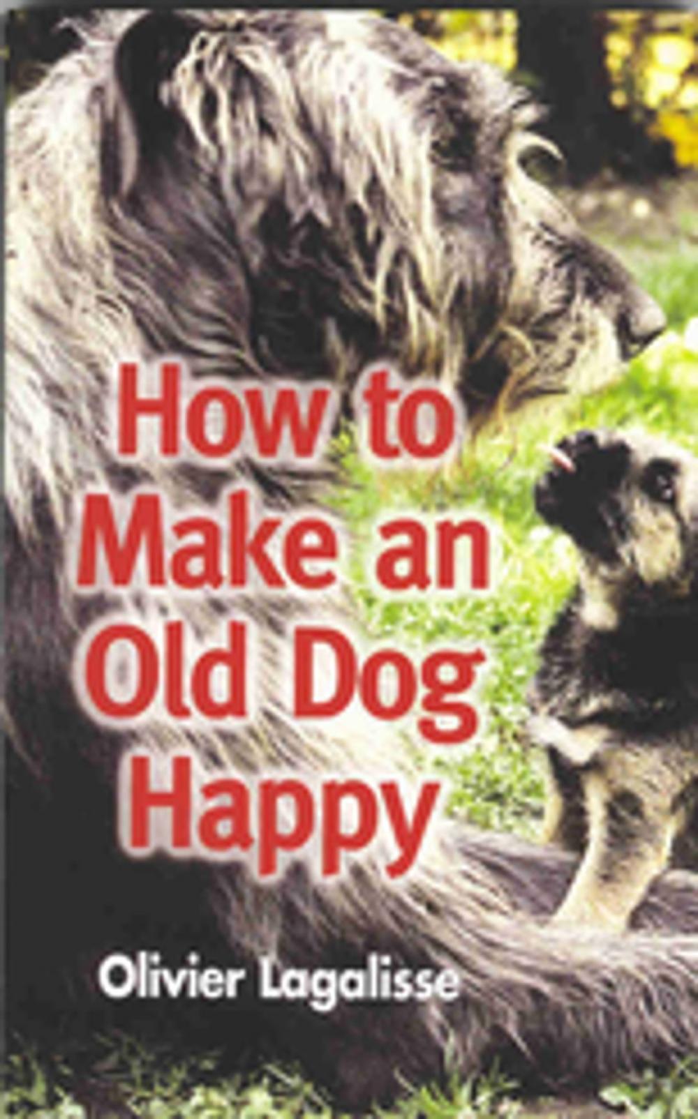 Big bigCover of How to Make an Old Dog Happy