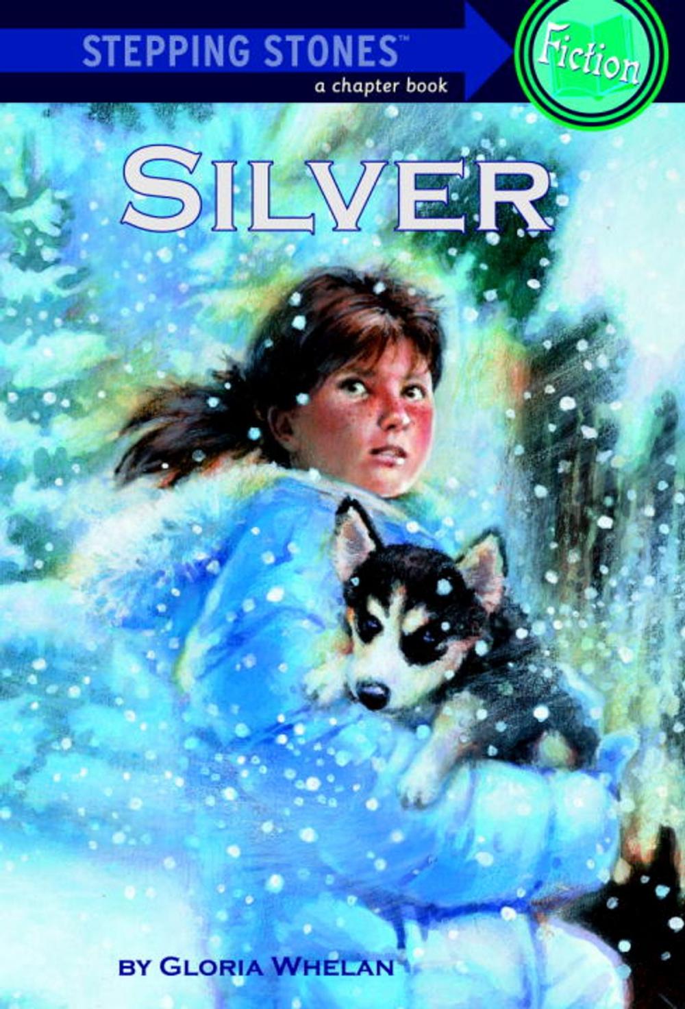 Big bigCover of Silver